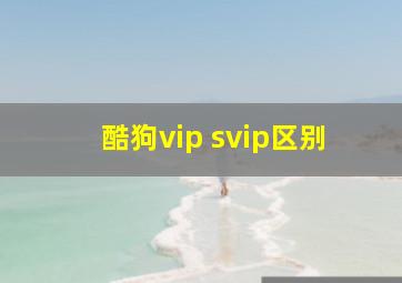 酷狗vip svip区别